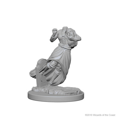 D&D Nolzurs Marvelous Unpainted Minis - Ghosts & Banshee