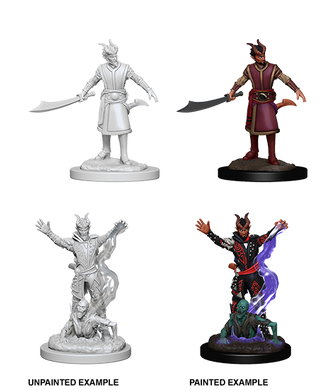 D&D Nolzurs Marvelous Unpainted Minis - Tiefling Warlock Male