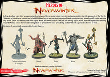 D&D: Heroes of Neverwinter